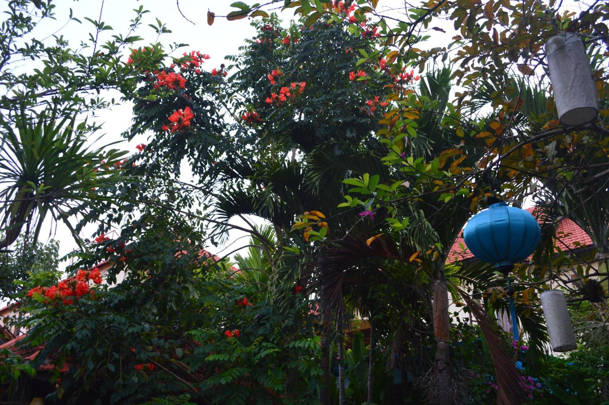 Villa Orchid Garden Riverside Хойан Экстерьер фото