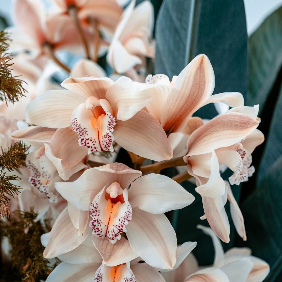 Villa Orchid Garden Riverside Хойан Экстерьер фото